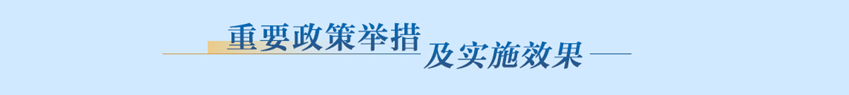 重要政策舉措及實施效果